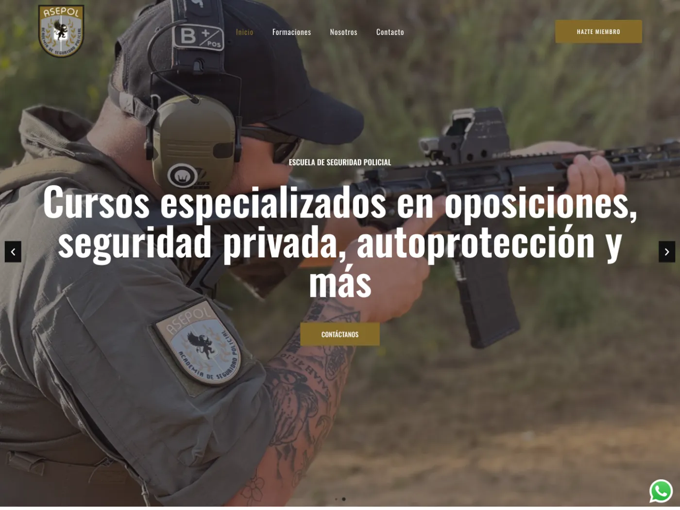 Web de Asepol