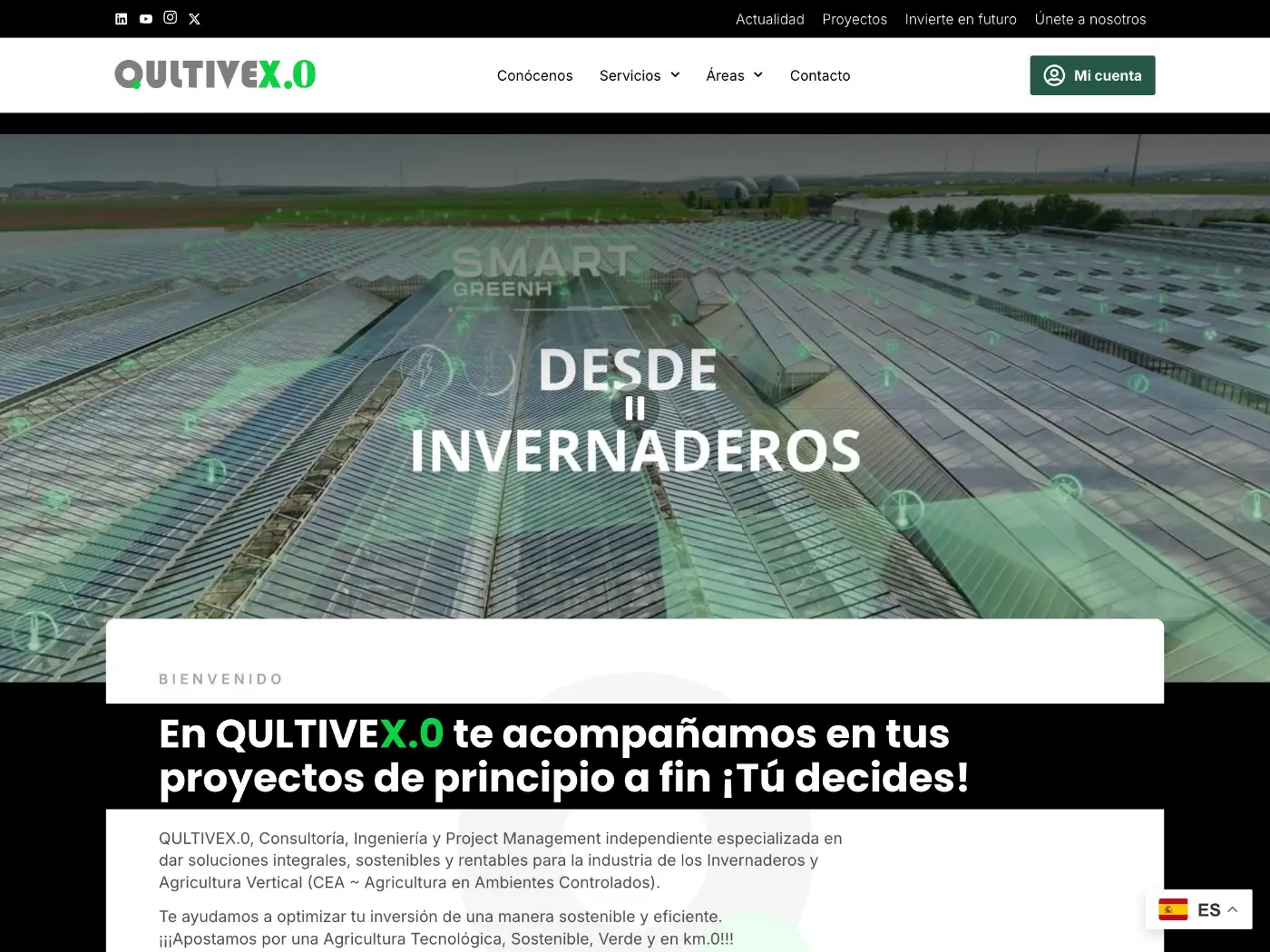 Web de Qultivex